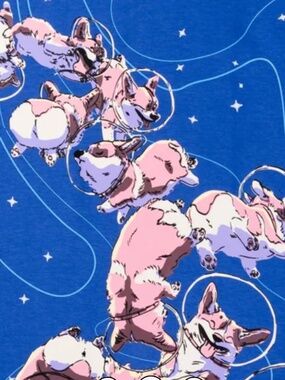 NWOT Bibisama "Space Corgis" T-Shirt, M